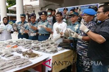 Prajurit AL gagalkan penyulundupan ganja dari PNG