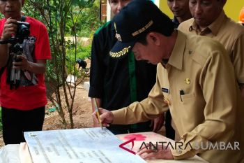 Ini keunggulan menggunakan benih bersertifikat