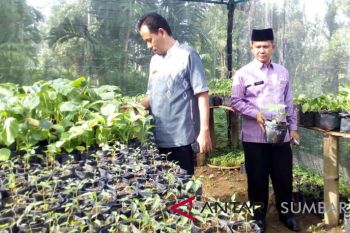 Kementan bantu Agam kembangkan rumah pangan lestari