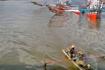 Ikan Pesisir Selatan Dipasarkan Ke Enam Provinsi di Pulau Sumatera