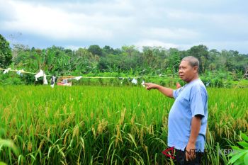 Kepri jalin kerja sama dengan 10 provinsi