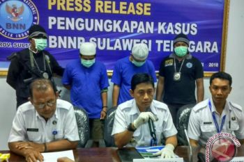 BNNP Sultra Amankan Dua Tersangka Pengedar Ganja