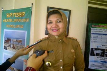 Lampung buka akses jalan perkebunan rakyat