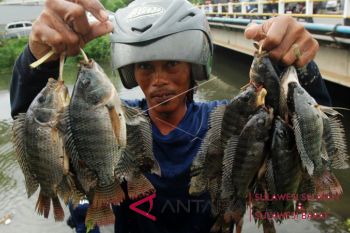 Ikan air tawar