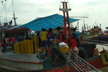 Gelimbang tinggi, aktivitas pelelangan ikan TPI Jepara sepi