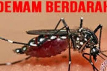 Musim Hujan Melanda, Dinkes Bengkalis Imbau Warga Waspada DBD