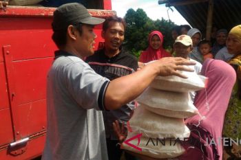 Ini alasan beras OP kurang diminati di Kedu