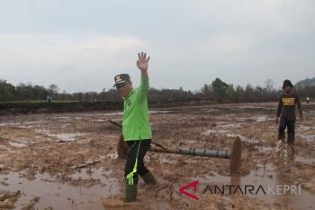 Dua tahun Awe-Nizar memimpin Lingga