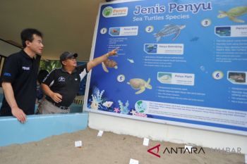 Pemprov Sumbar perbanyak kawasan konservasi penyu