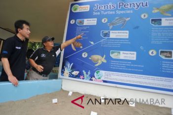 PENANGKARAN PENYU POKMASWAS