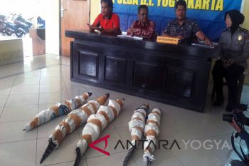 Buaya peliharaan diserahkan warga ke Polisi (video)