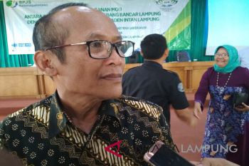 Anggaran pengembangan kampus UIN Lampung Rp650 miliar