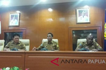 Pemprov Papua ajukan Plt bupati di empat kabupaten