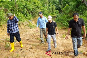 Bupati Konawe Selatan tinjau progres proyek infrastruktur