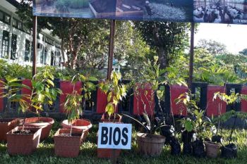 Uji coba bios 44 di Maluku berhasil