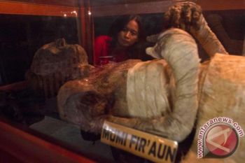Mumi menjerit dipamerkan di Museum Mesir