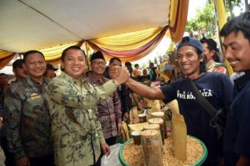 Gubernur Lampung Dorong Hilirisasi Kopi Robusta Tanggamus 