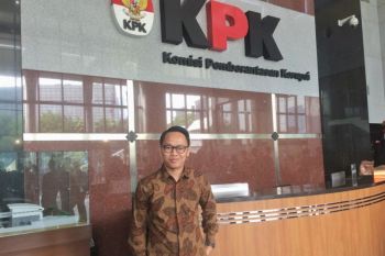 Opini - Pilkada dan Masa Depan Hutan Kita