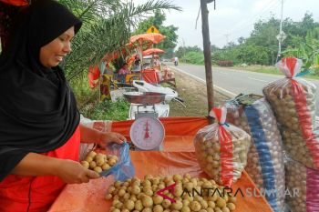 Musim duku, berkah bagi pedagang musiman