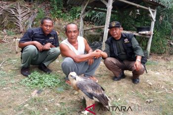 Warga Agam mulai serahkan burung yang dilindungi
