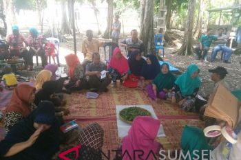 Medco E&amp;P bangkitkan potensi tanaman obat di Muba
