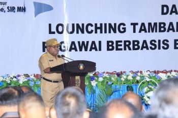 Pemprov Papua luncurkan TPP berbasis elektronik