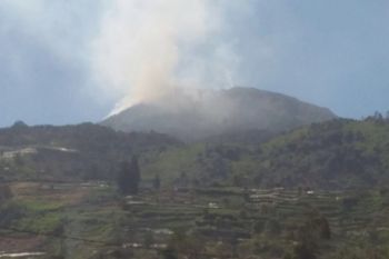Kebakaran hutan di jalur pendakian Gunung Talang mulai padam
