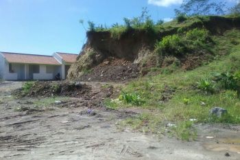 Kulon Progo revitalisasi rumah produksi teh Nglinggo