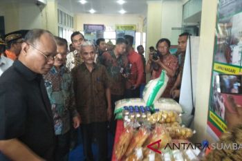 Kemenkeu dorong Sumbar jadikan korong pemerintahan terendah agar dana desa lebih banyak