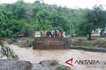 Banjir rusak puluhan hektare padi di Bima