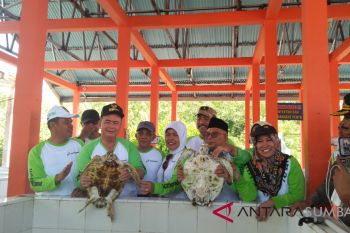 Wagub minta daerah berpartisipasi aktif dalam Indonesia hijau