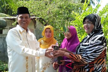 Kerukunan tani Pariaman bagikan 1.200 bibit  tanaman buah dan sayuran