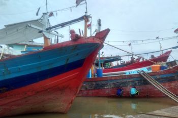 Cuaca ekstrem, stok ikan di TPI Pekalongan mencukupi