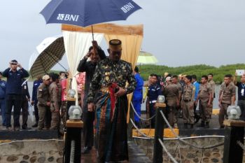 Syahrul enggan komentari pilkada Sinjai
