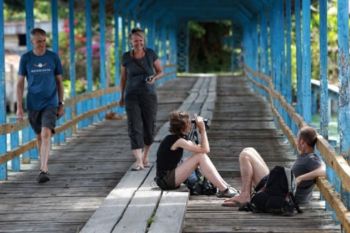 Danau Poso akan miliki Taman Konservasi Burung Edemik