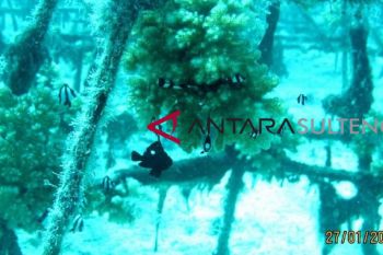 TNKT amankan lima warga di kepulauan Togean
