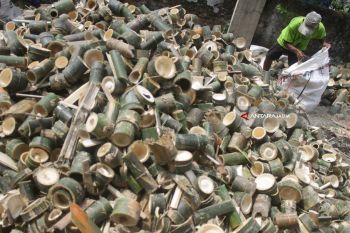 Limbah Bambu Industri Tempe