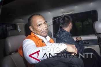 PDIP hadapi tantangan besar dalam Pilgub NTT