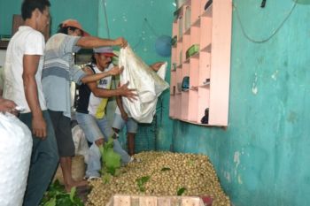 Petani Kalikajar siap gelar bazar duku