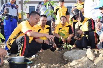 500 pohon ditanam di Mapolda Sulbar