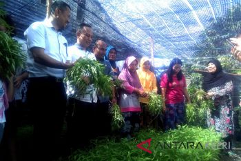 PLN laksanakan program komposter tekan volume sampah