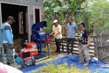 Produksi Pakan Ternak Inovatif Capai 2,5 Ton/Hari