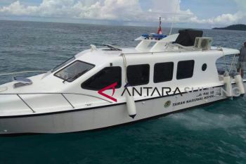 TNKT siagakan belasan armada untuk patroli laut