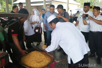 Tongkol jagung punya manfaat, ini salah satunya