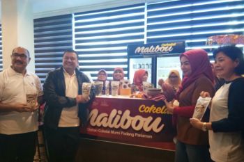 Usaha cokelat Padang Pariaman tembus hotel berbintang lima di Padang