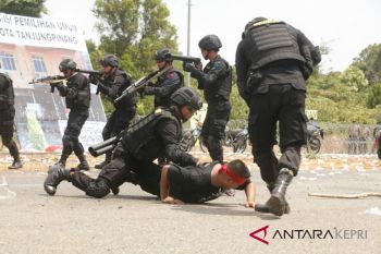 300 Brimob amankan pilkada Tanjungpinang
