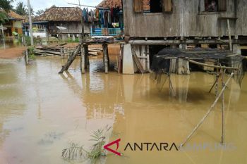 Waykanan berupaya cepat tangani dampak banjir