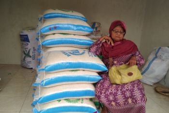 Harga beras di Temanggung masih bertahan tinggi