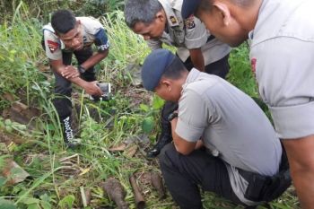 Warga Sentani temukan bom peninggalan PD II
