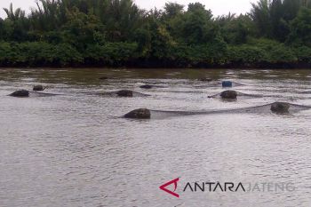 Penggunaan jaring apung di Segara Anakan segera ditata